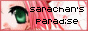 sARAcHAn